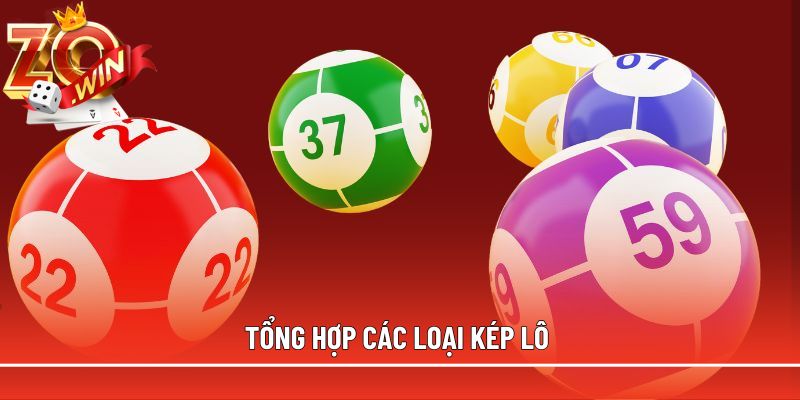 Tổng hợp các loại kép lô 
